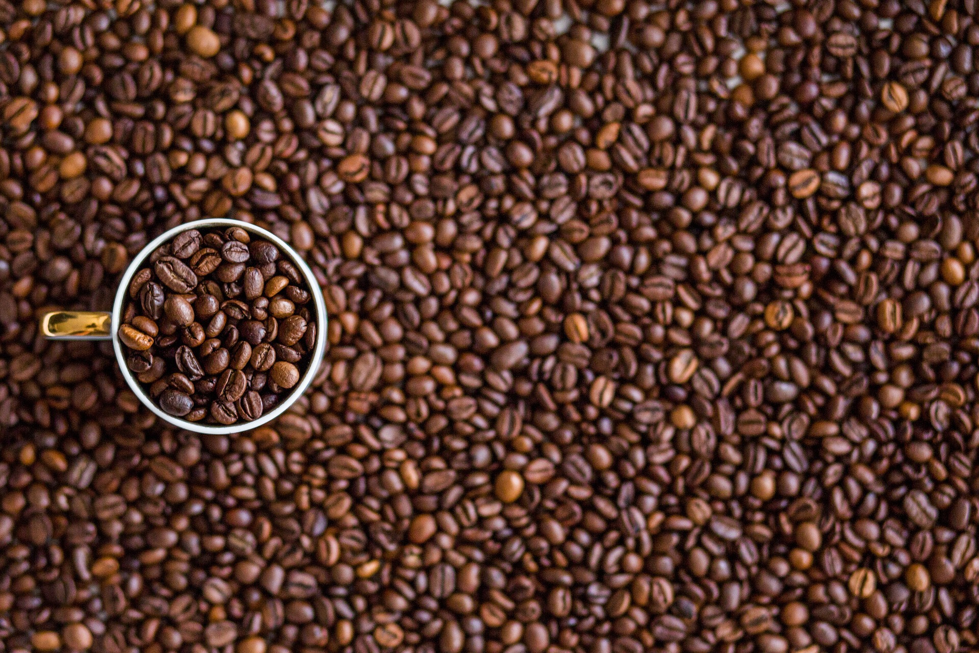 Programa da Embrapa: novas tecnologias no segmento do café