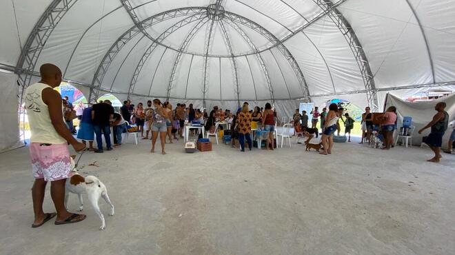 ‘Castramóvel’ atende cerca de 200 animais em Itaipuaçu