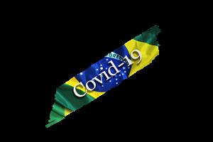 Brasil e Covid-19 Boletim Coronavírus