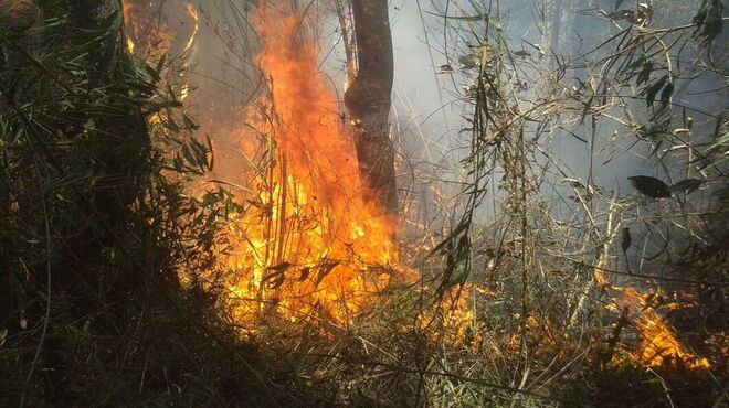 Combate ao incêndio florestal na Serra dos Órgãos