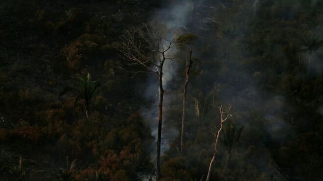 Ministério confirma recursos para combate ao desmatamento ilegal na Amazônia