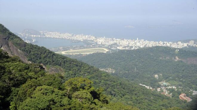 Petrobras refloresta cerca de 330 hectares de Mata Atlântica no polo de gás de Itaboraí