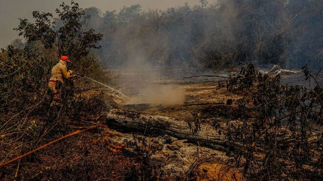 A estiagem e os incêndios no Pantanal causam preocupação no MT e MS