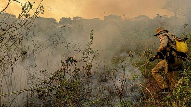 proteção do meio ambiente - pantanal - fotoMayke Toscano Agência Senado