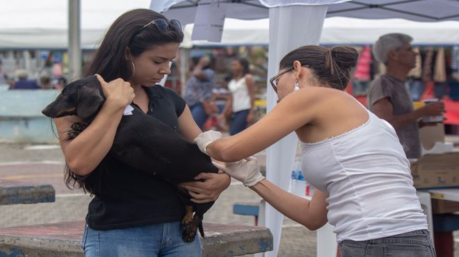 Campanha de vacinação antirrábica animal é adiada