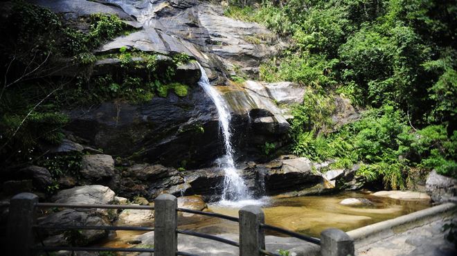 Parque Nacional da Tijuca