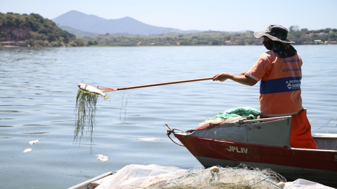 Maricá retira cerca de três toneladas de peixes mortos das lagoas