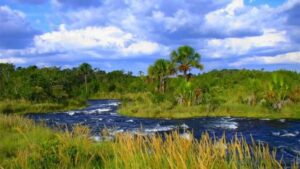 Quando preservado, Cerrado acumula água no solo e garante o fluxo dos rios mesmo nos períodos secos — Foto: IPHAN