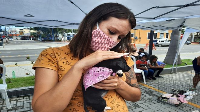 Coordenadoria de Proteção Animal de Maricá realiza feira de adoção