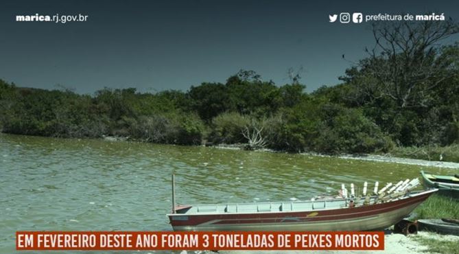 Prefeitura de Maricá aciona INEA sobre fenômeno recorrente de mortandade de peixes nas lagoas