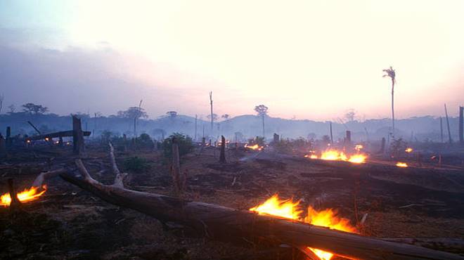 Amazônia e Pantanal: o porquê dos incêndios ambientais