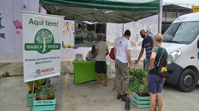 Maricá distribui 100 mudas de plantas no Maricá+Verde
