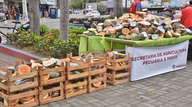 Maricá distribui abóboras sem agrotóxicos à população na Praça do Turismo