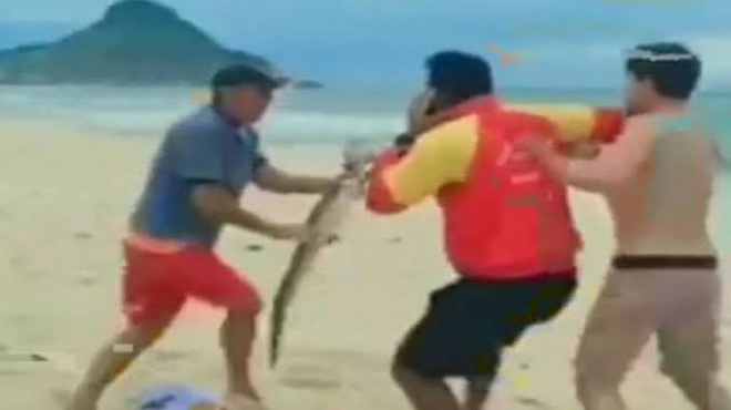 Homem ameaça banhista com um jacaré em praia no Rio de Janeiro