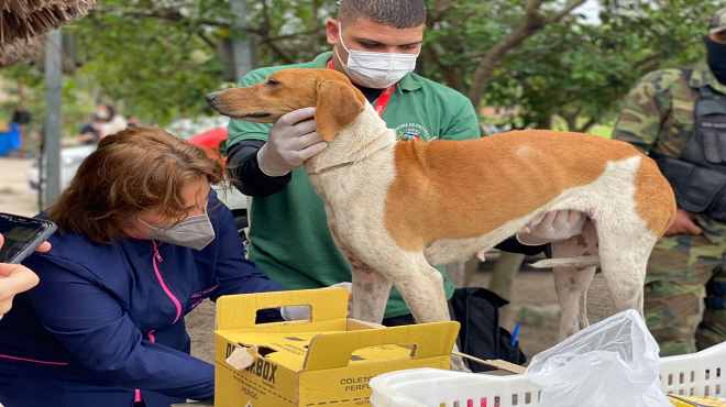 Maricá leva ação de saúde animal à aldeia indígena Mata Verde Bonita