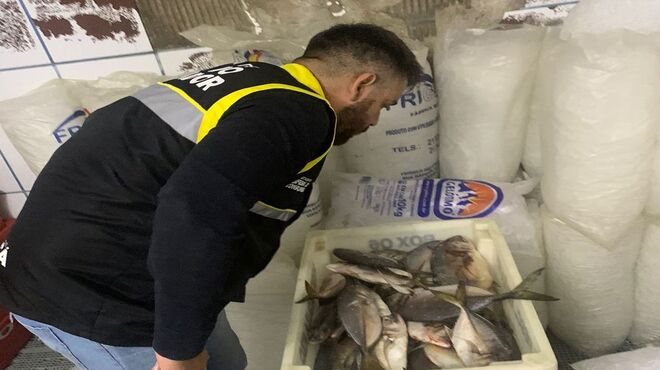 Prefeitura inicia Operação Peixe Limpo para fiscalizar o pescado na Semana Santa