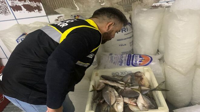 Operação Peixe Limpo