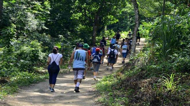 Cidade Sustentável promove caminhada ecológica e plantio de árvores no domingo (10/04)