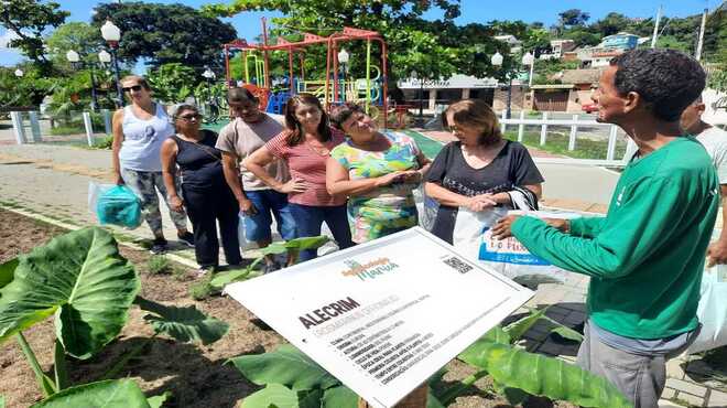 Primeira colheita de espinafre e taioba na Praça Agroecológica de Araçatiba