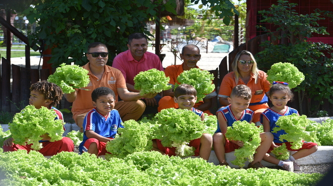 Alunos de creche participam de colheita de hortaliças em Guaratiba