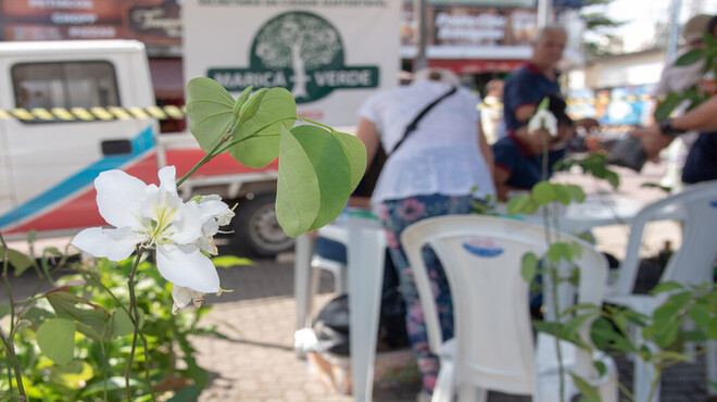 Maricá+Verde distribuirá mudas de plantas na passarela do Caxito nesta quinta-feira (06/04)