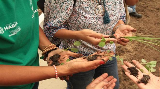 Agricultura promove primeira oficina de Cultivo em Pequenos Espaços Produtivos em Araçatiba
