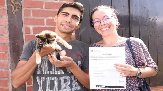 Maricá promove mais uma campanha de adoção animal neste sábado