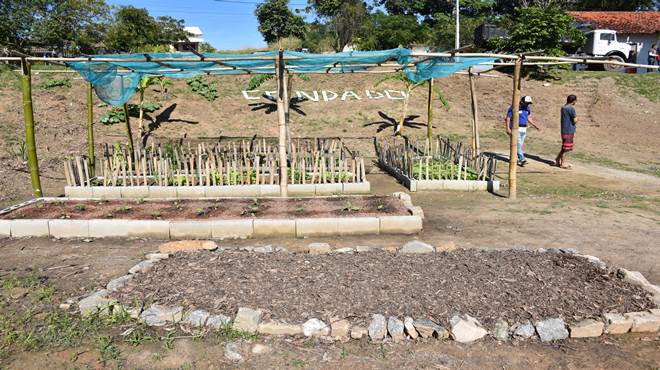 Prefeitura transforma área pública em horta comunitária no Condado