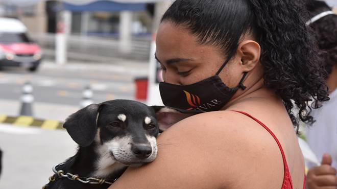 Prefeitura de Maricá promove campanha de adoção de cães e gatos neste domingo (18/09)