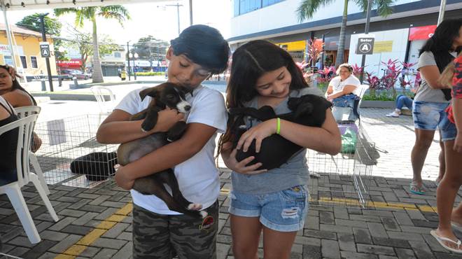 Feira de adoção garante um novo lar a 20 animais em Maricá