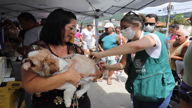 Prefeitura imuniza 20.530 cães e gatos na Campanha de Vacinação Antirrábica