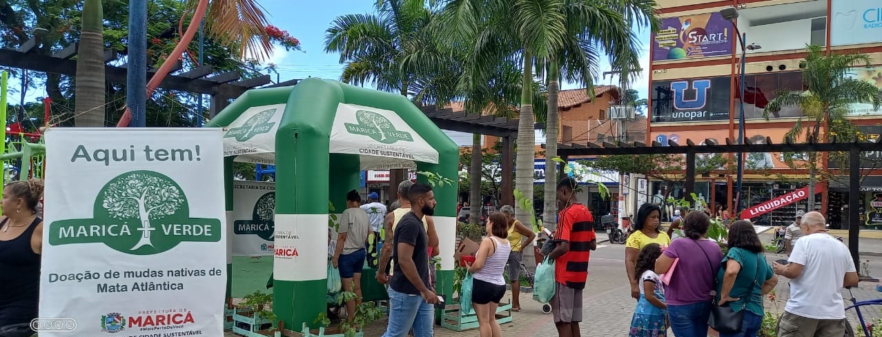 Maricá+Verde distribui 100 mudas nativas da Mata Atlântica em Itaipuaçu