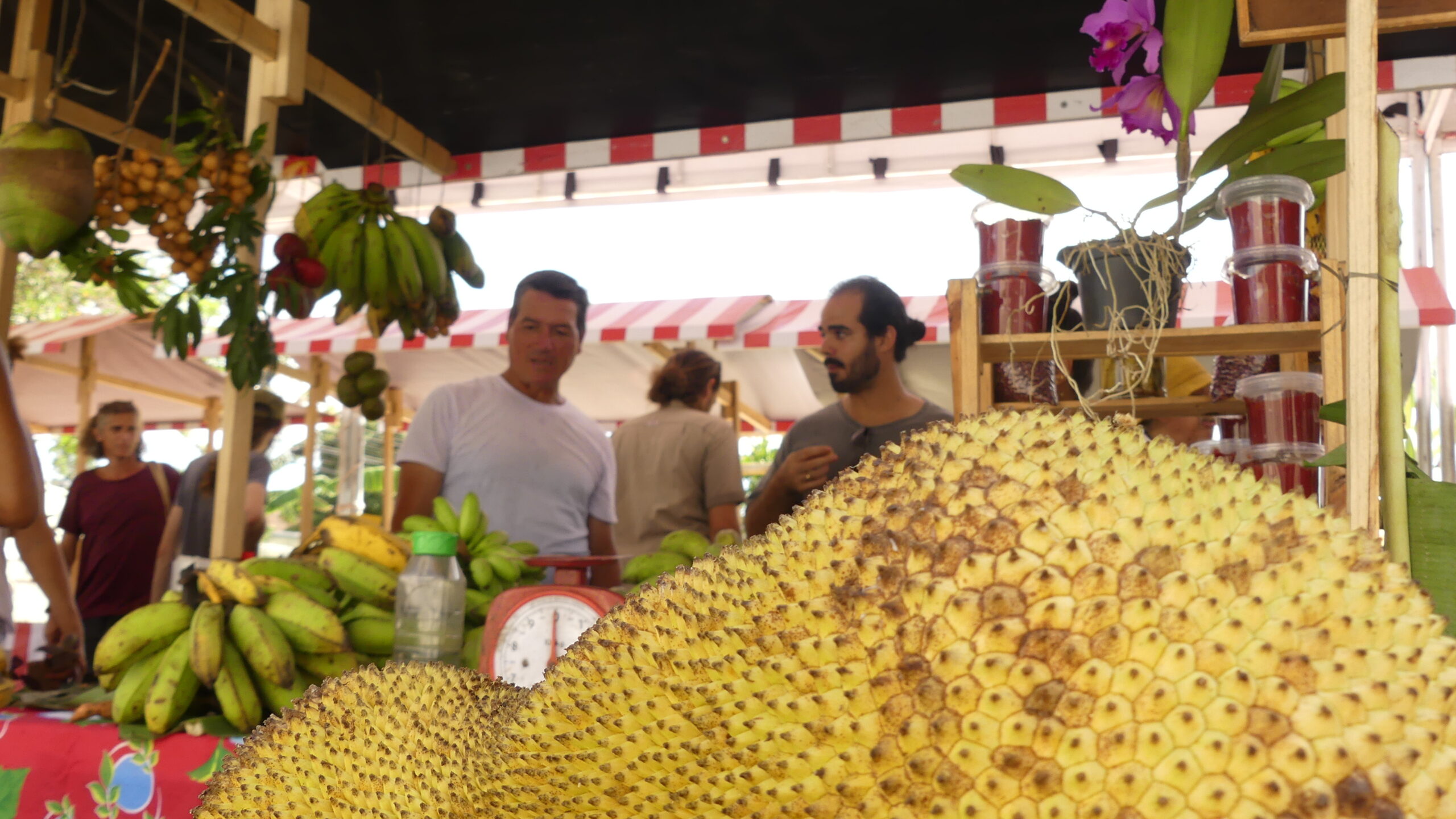 Araçatiba recebe Feira da Agricultura Familiar neste sábado