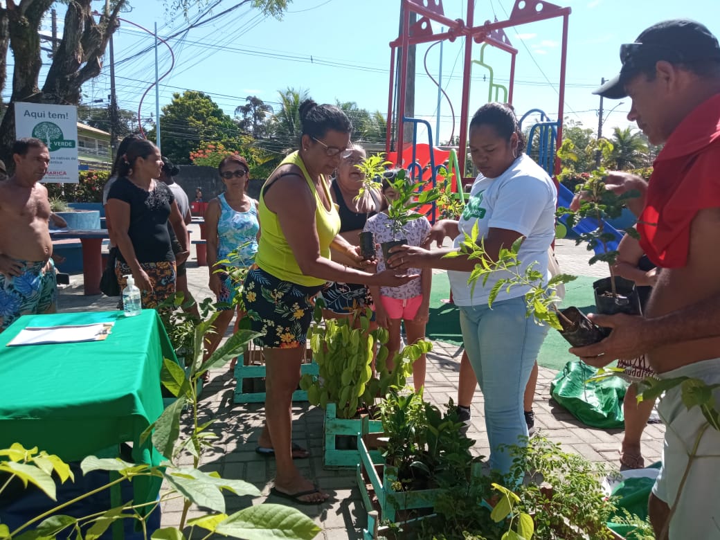 Maricá+Verde distribui 100 mudas nativas da Mata Atlântica em Bambuí