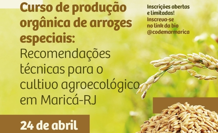 Inova realiza cursos de produção orgânica de arrozes especiais nesta segunda