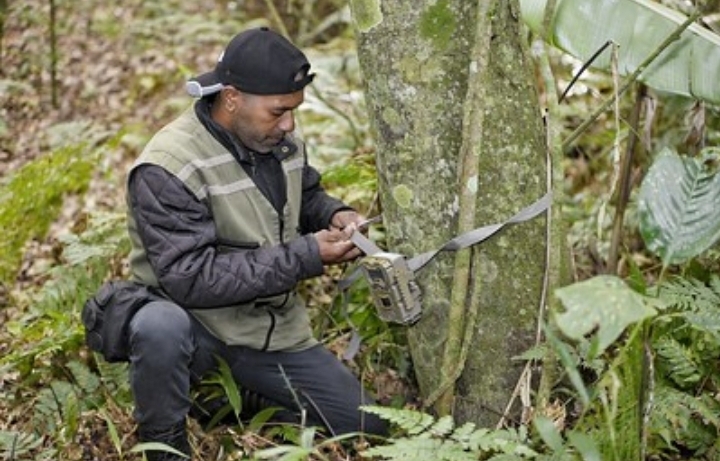 Maricá amplia monitoramento de animais silvestres