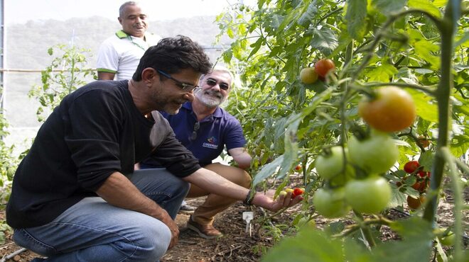 Dia Mundial da Alimentação: com projeto inovadores e sustentáveis, Codemar vira exemplo na produção de alimentos saudáveis