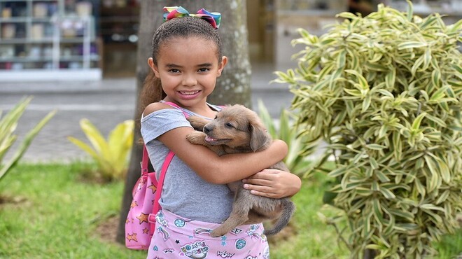 A Prefeitura de Maricá, por meio da Secretaria de Proteção Animal, realizou neste domingo (2910) mais uma edição da campanha de adoção de cães e gatos no estacionamento do Shopping Boulevard, no Centro. Ao todo, 22 animais (18 cães e quatro gatos) entre adultos e filhotes ganharam um novo lar. A feira acontece sempre no terceiro domingo de cada mês. A ação é realizada com protetores do município, voluntários que resgatam e abrigam os animais até o momento da adoção. Antes de serem doados, os animais passam por processo de aplicação de vermífugo e os adultos são castrados. A secretaria ainda oferece a castração de filhotes adotados a partir dos seis meses de idade. Acompanhado de sua família, Leandro Velasco, morador de Guaratiba, adotou o mais novo integrante de sua família, o Bolt. “Fomos criados com animais em casa e poder passar isso para os nossos filhos não tem valor que pague. Hoje estamos levando o Bolt para fazer parte da nossa família e brincar com os nossos filhos”, comentou Leandro que estava acompanhado de sua esposa e seus dois filhos. Campanha também acontece online A campanha de adoção também é disponibilizada online pelas redes sociais da secretaria. Interessados podem entrar em contato pelo Facebook Proteção Animal Maricá; Instagram @secpa.marica ou pelo WhatsApp (21) 99546-0334, das 8h às 17h. Pagamento do programa “Mumbucão” A Prefeitura de Maricá efetuou, no dia 1309, o primeiro pagamento a cem protetores de animais e adotantes inscritos no programa “Mumbucão”, que utiliza a moeda social como um auxílio financeiro para compra medicamentos, vacinas e ração para os animais resgatados das ruas e adotados. O valor é de 70 mumbucas (equivalente a 70 reais) para animal de pequeno porte; 100 mumbucas (100 reais) para os de médio porte; e 130 mumbucas (130 reais) para os de grande porte. O valor é limitado a 1.300 mumbucas e 10 animais por pessoa, pago por até um ano. Assistência aos animais de rua Para dar assistência a cães e gatos que vivem nas ruas, dez clínicas veterinárias da cidade foram credenciadas para a realização de exames, internação e procedimentos ambulatoriais e cirúrgicos diversos (como ortopédicos, oftalmológicos e oncológicos). A busca ativa pelos animais doentes é feita pela equipe técnica da Coordenadoria, mas qualquer cidadão de Maricá poderá ajudar os animais de rua solicitando a assistência pelo número de WhatsApp (21) 99546-0334. Os profissionais vão até o local para constatar as necessidades de saúde do animal, acolher e dar o atendimento veterinário necessário. Após a recuperação, o animal será inserido no programa de adoção. No caso de constatação de abandono de cães ou gatos, o dono poderá ser identificado e denunciado por maus-tratos. Proteção Animal A Secretaria de Proteção Animal (Secpa) desenvolve diversas ações e políticas públicas para proporcionar o bem-estar e a proteção aos animais, como as campanhas de adoção e de conscientização sobre abandono, que acontecem em parceria com protetores, moradores e comerciantes. FOTOS - ELSSON CAMPOS