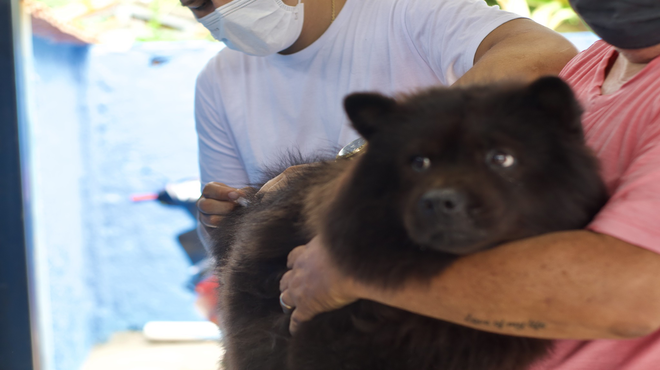 Maricá realizará Campanha de Vacinação Antirrábica Animal em polos de toda a cidade