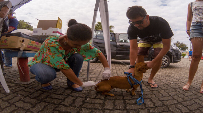 Primeira etapa da Campanha de Vacinação Antirrábica Animal começa neste sábado (21)