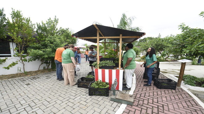 Dia de agricultura circular na Praça de Araçatiba