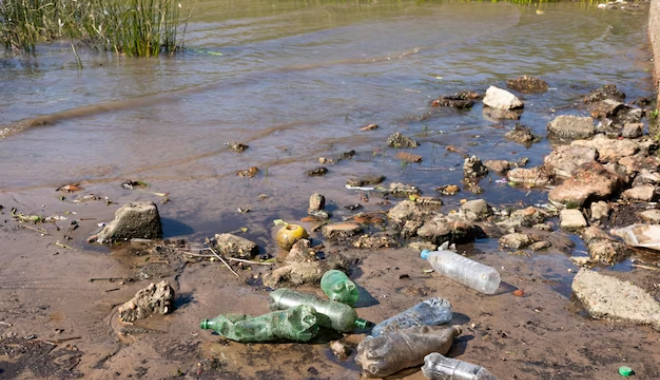 Saneamento básico em escassez: No Brasil, quase metade da população não tem acesso a esgoto tratado