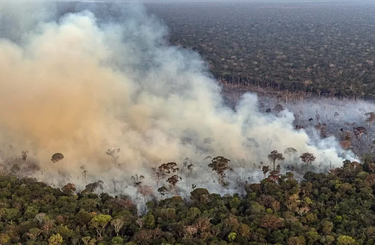 Crise do clima exige estratégia de combate a fogo “nunca antes feita”, diz secretário