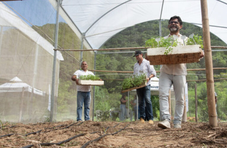 Inova Agroecologia Maricá inicia o 2° plantio de tomates gourmet na Fazenda Pública Joaquín Piñero