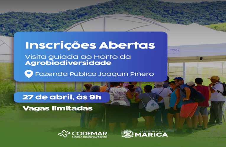 Inscrições abertas para conhecer pomar inovador da Fazenda Joaquín Piñero