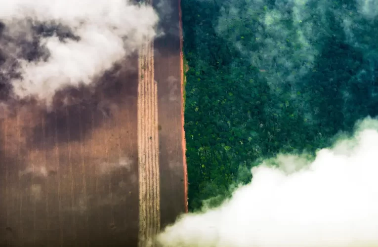 Conhecimento indígena pode melhorar relação com o meio ambiente