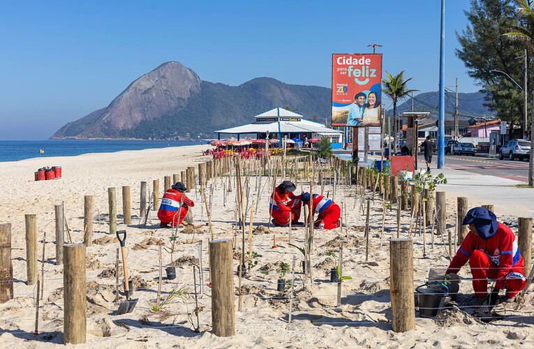 Mais de 200 mudas nativas de restinga foram plantadas na orla de Itaipuaçu