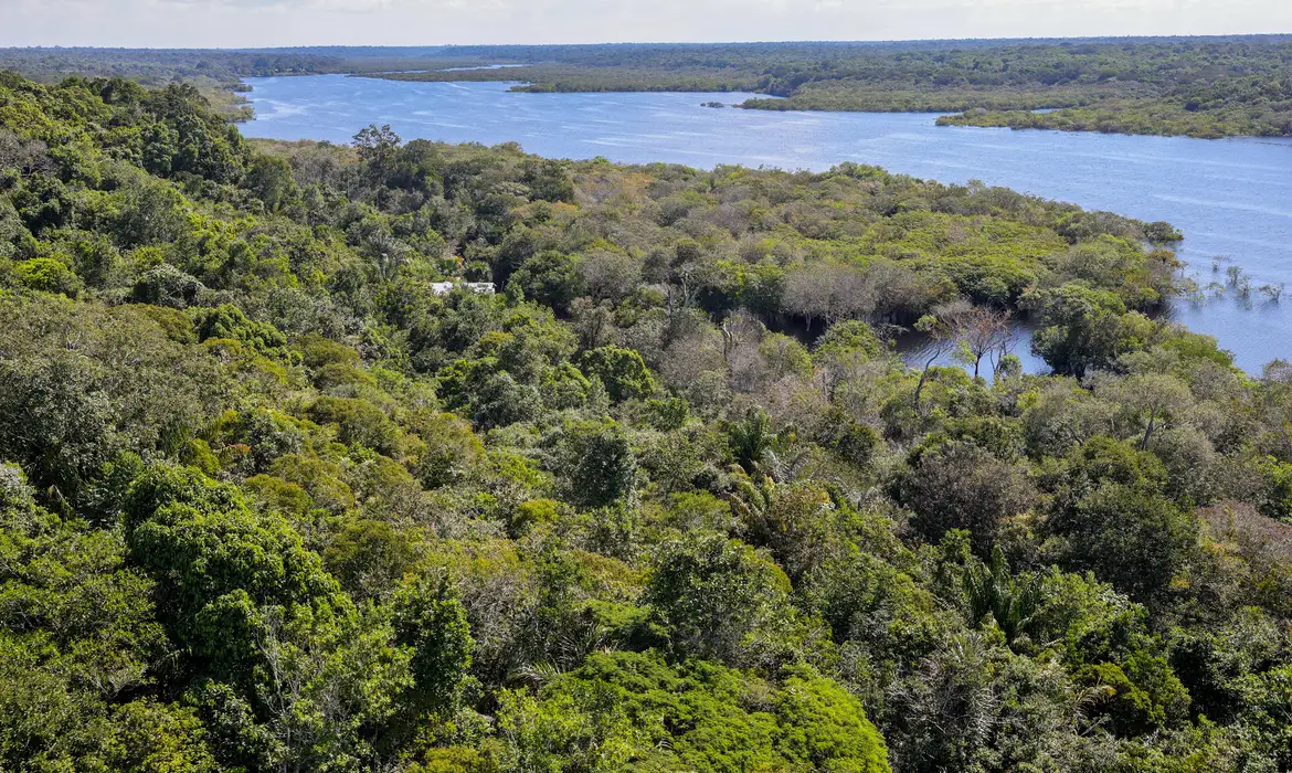 Amazônia: Desmatamento Diminui 30,6% em Um Ano