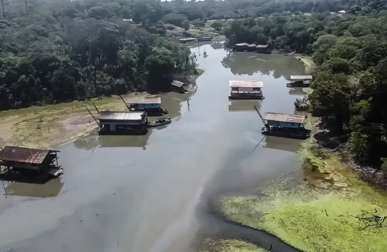 Rios na Amazônia têm risco de contaminação por mercúrio