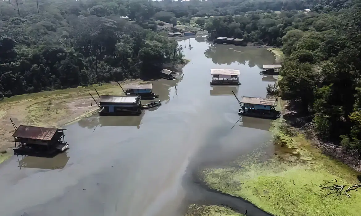 Rios na Amazônia têm risco de contaminação por mercúrio